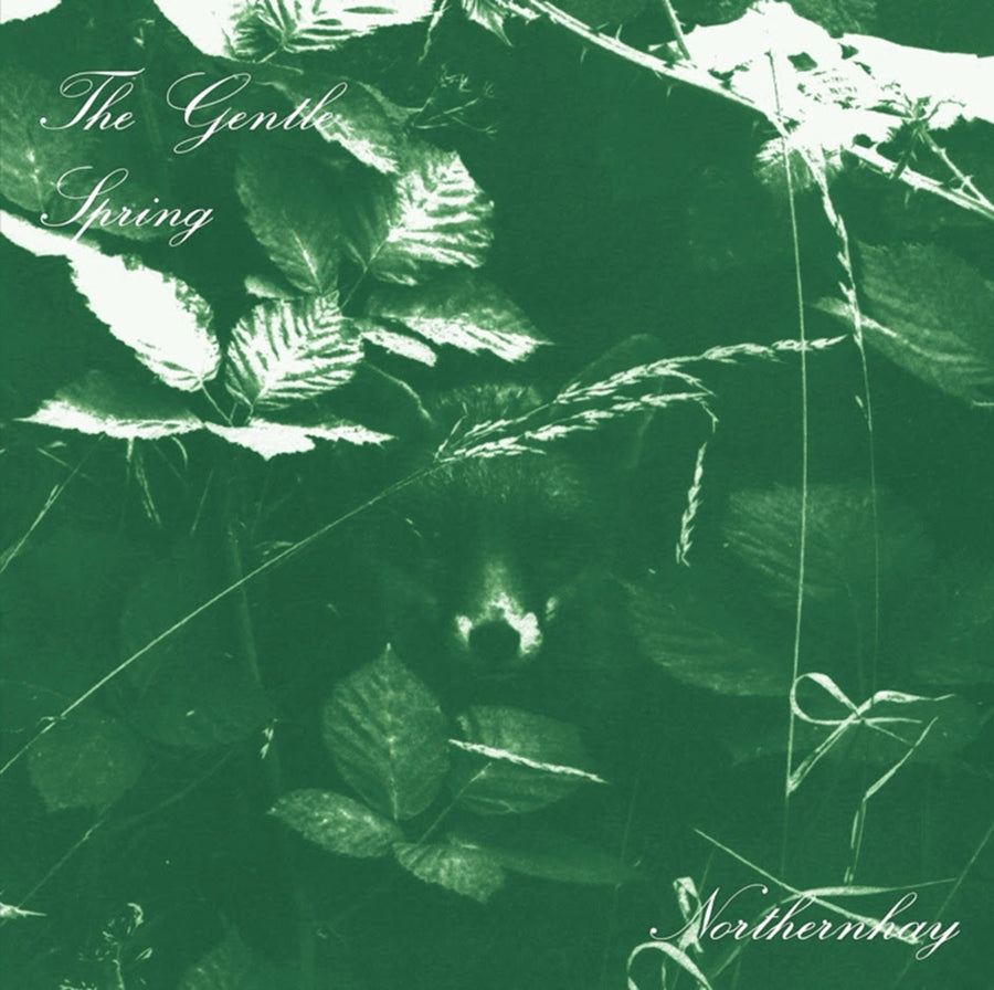 Gentle Spring (The) - Northernhay *Pre-Order
