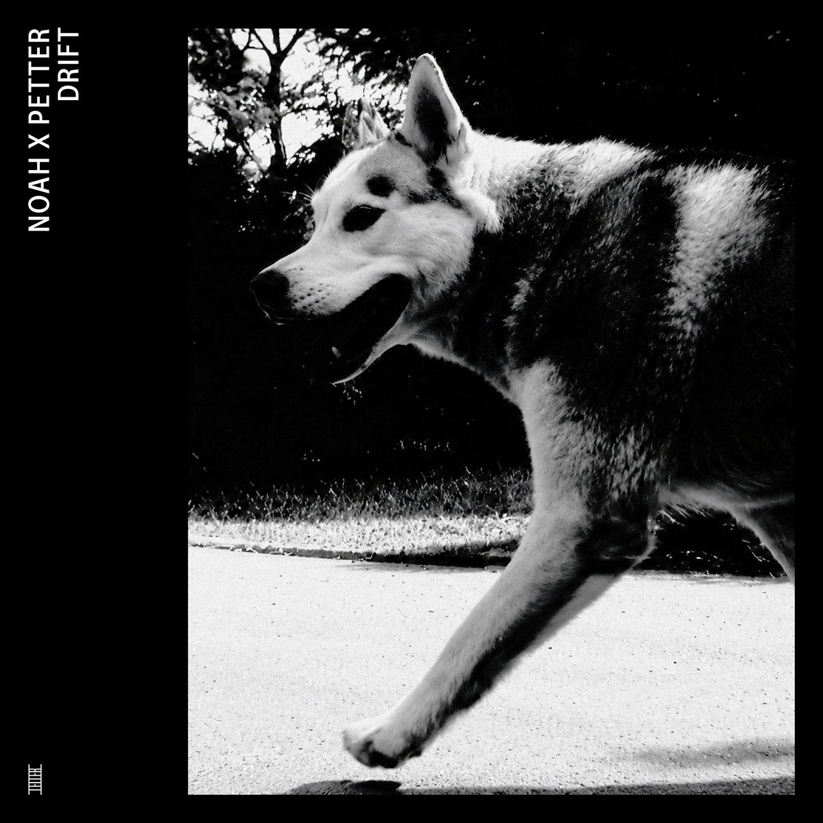 Noah X Petter - DRIFT *Pre-Order