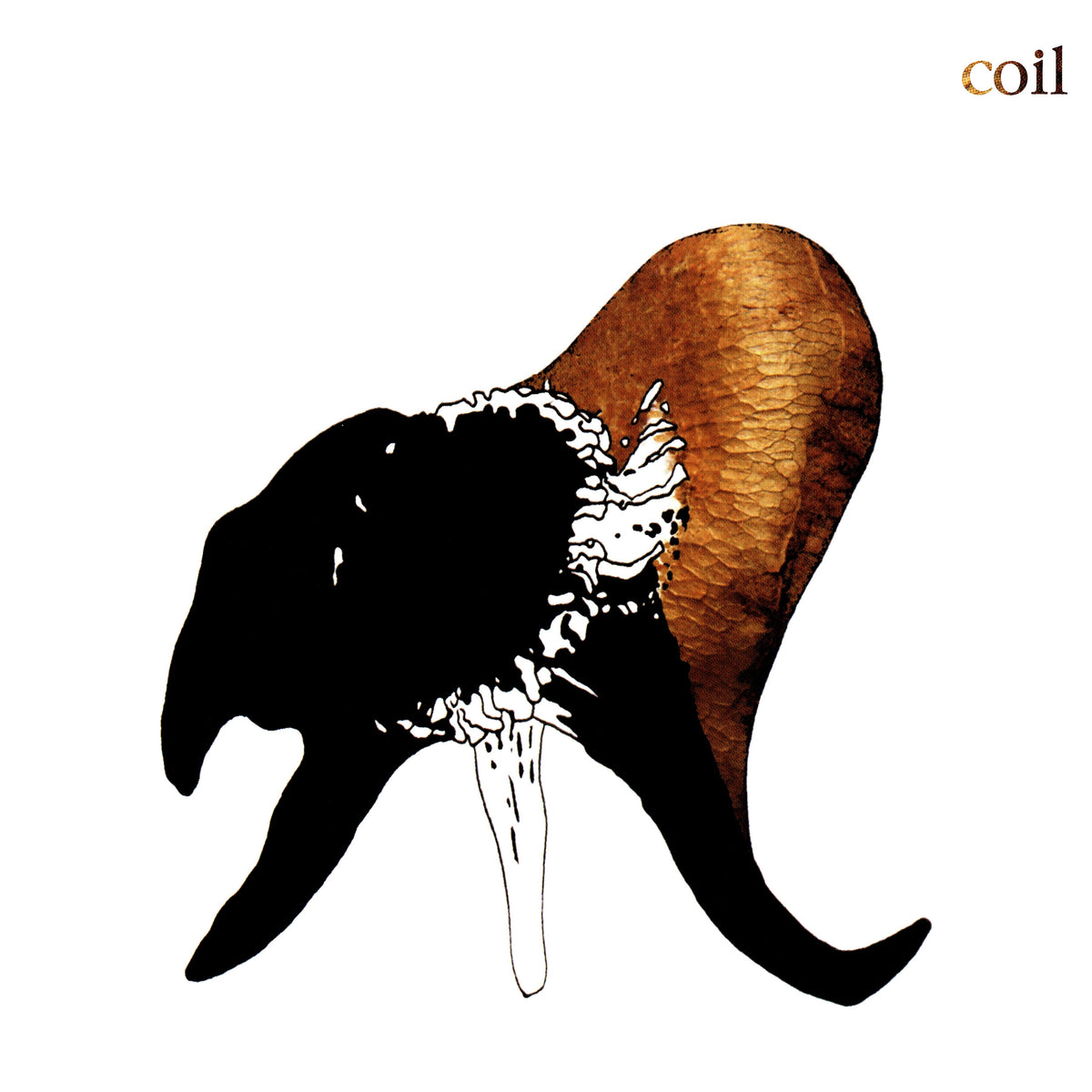 Coil - Black Antlers