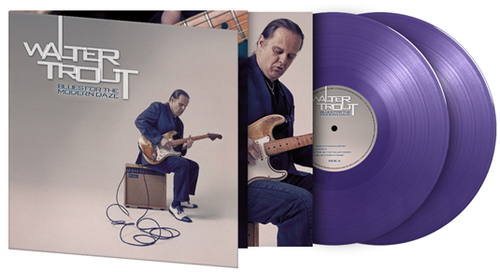 Walter Trout - Colour Reissues