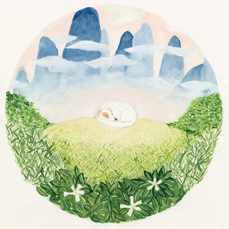 Ben Hackett - Songs for Sleeping Dogs *Pre-Order