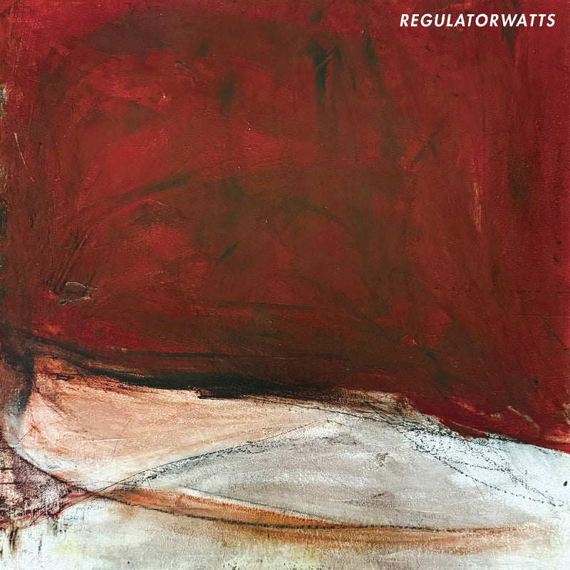 Regulator Watts - kWh *Pre-Order