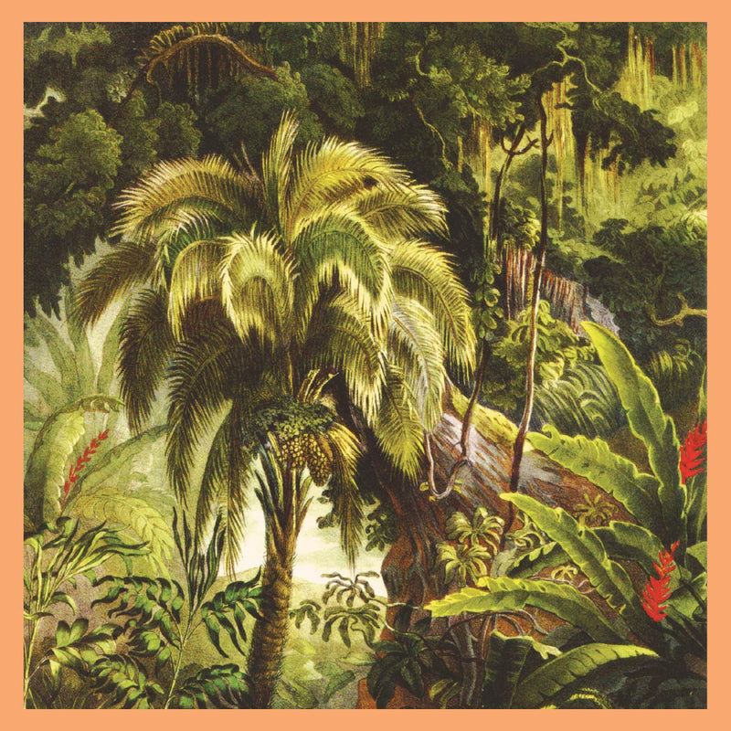 Xiu Xiu - La Foret *Pre-Order