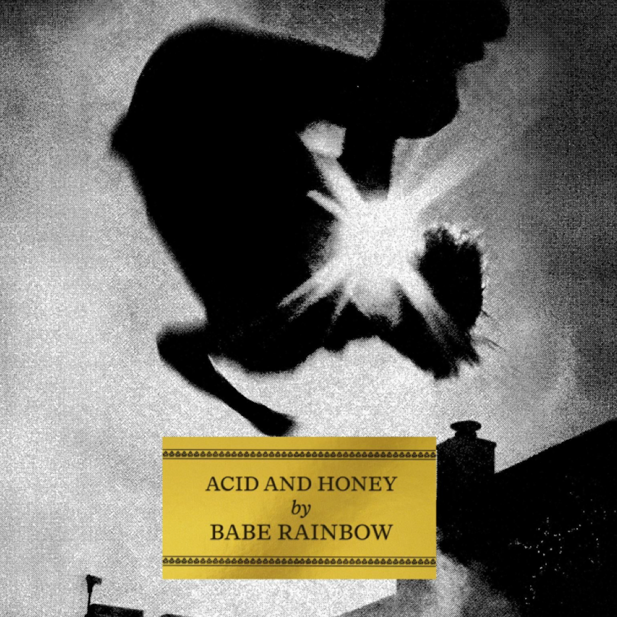 Babe Rainbow - Acid and Honey *Pre-Order