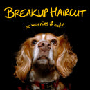 Breakup Haircut - No Worries If Not *Pre-Order