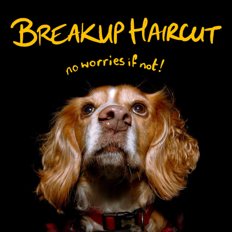 Breakup Haircut - No Worries If Not *Pre-Order
