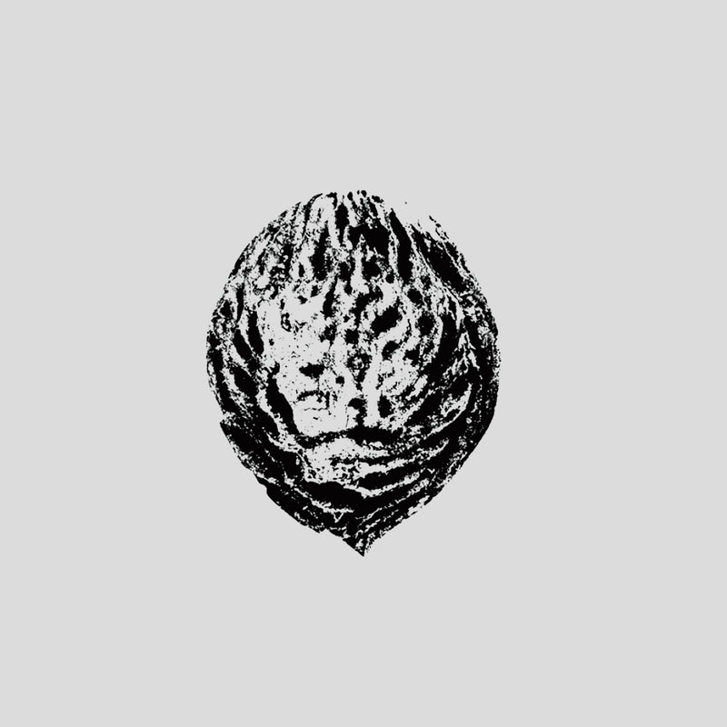 Black Lips - Bebop Armageddon (Detours & Offcuts From Season Of The Peach) *Pre-Order