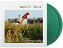 Walter Trout - Colour Reissues