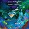 LSD and the Search for God - Heaven Is A Place *Pre-Order