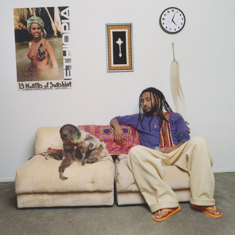 Aminé - 13 Months of Sunshine *Pre-Order