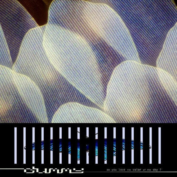 Dummy - do you love the color of the sky? *Pre-Order