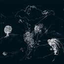 Anenon - Dream Temperature *Pre-Order