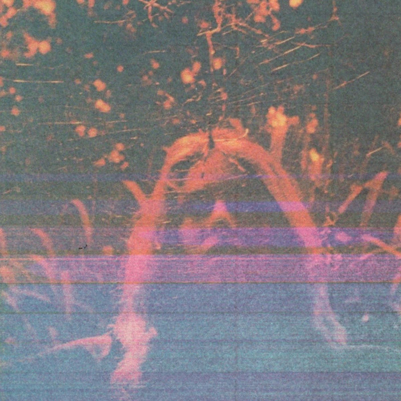 Turnover - Peripheral Vision (10 Year Anniversary Deluxe Edition)