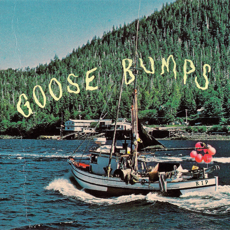 Boyscott - Goose Bumps