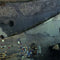 Soporus - 24,110 *Pre-Order