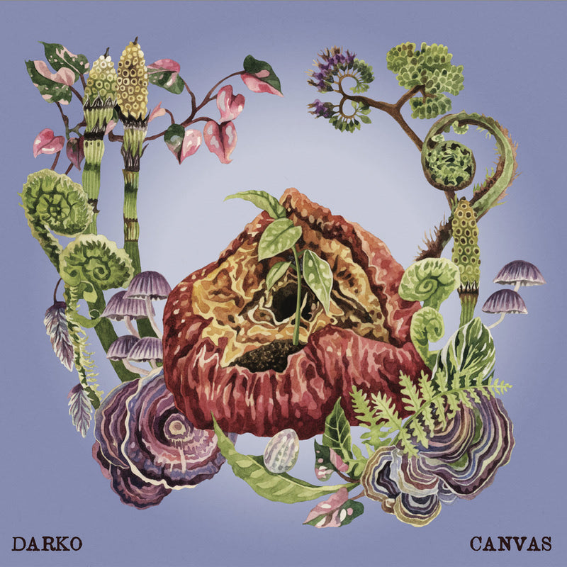 DARKO - Canvas