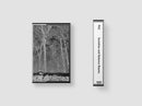 Pile - Sunshine and Balance Beams *Pre-Order
