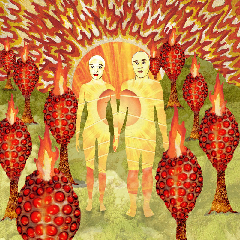 of Montreal - The Sunlandic Twins (20 Anniversary Edition)