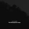 William Basinski - The Disintegration Loops (Arcadia Archive Edition) *Pre-Order