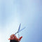 Afternoon Bike Ride - Running With Scissors *Pre-Order