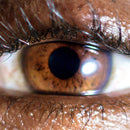 Evadney - It’s Dreaming *Pre-Order