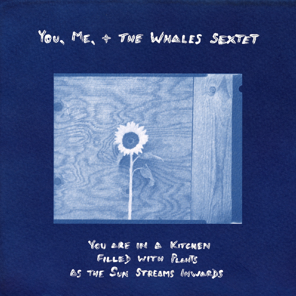 You, Me, + the Whales Sextet - You are in a Kitchen Filled with Plants as the Sun Streams Inwards