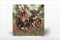 Current 93 - Earth Covers Earth *Pre-Order