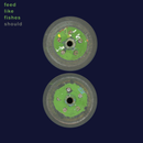 Should - Feed Like Fishes *Pre-Order