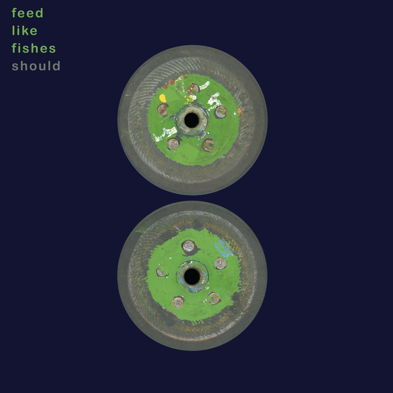 Should - Feed Like Fishes *Pre-Order