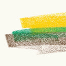 Flore Laurentienne - Volume III *Pre-Order