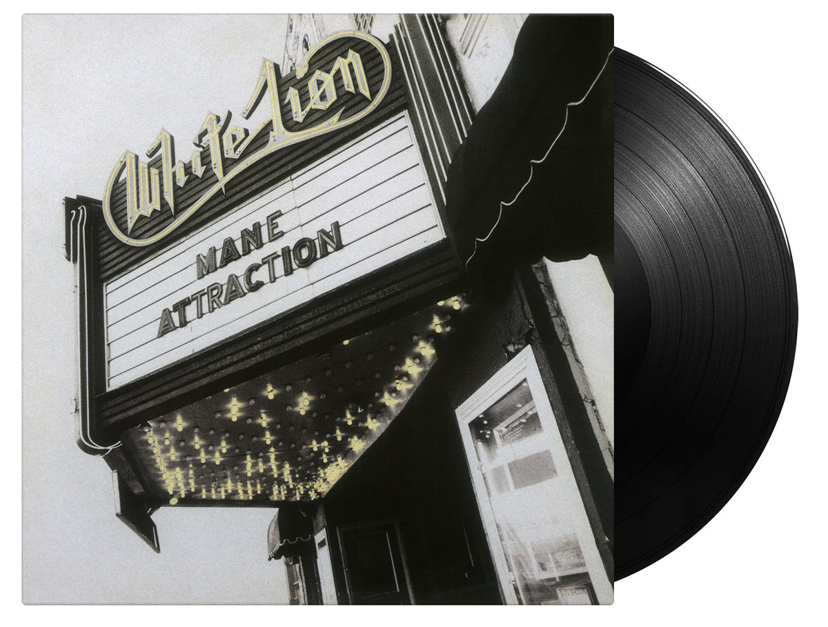White Lion - Mane Attraction