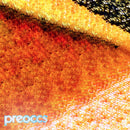 Preoccupations - MUR/PONR *Pre-Order