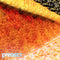 Preoccupations - MUR/PONR *Pre-Order