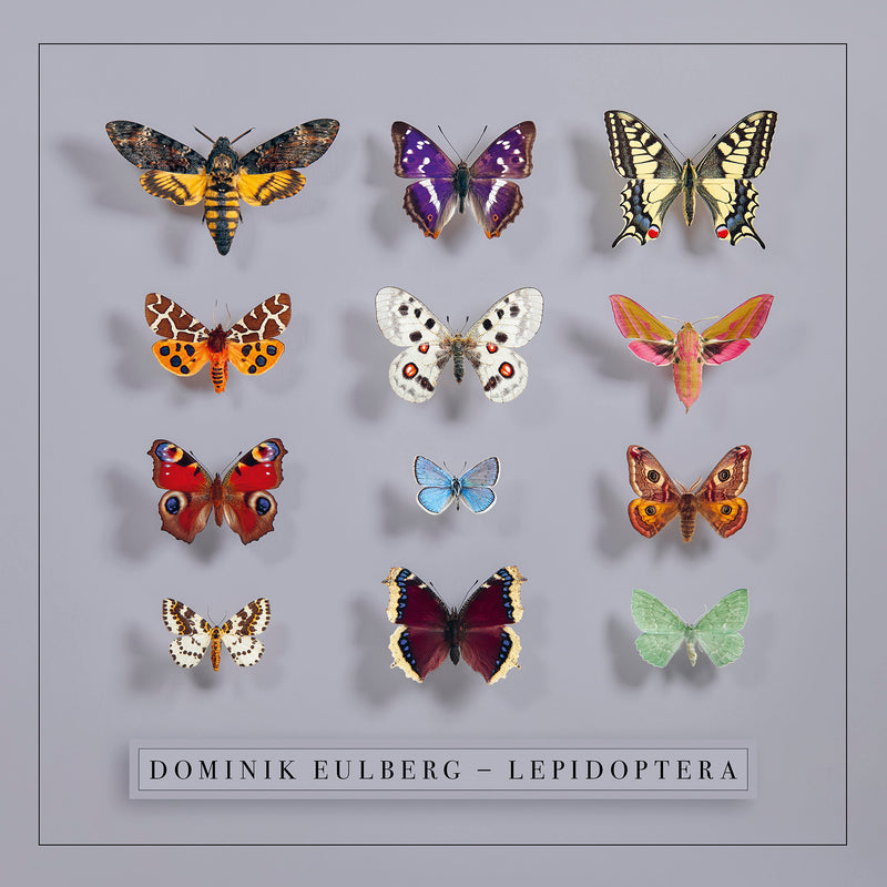 Dominik Eulberg - Lepidoptera *Pre-Order