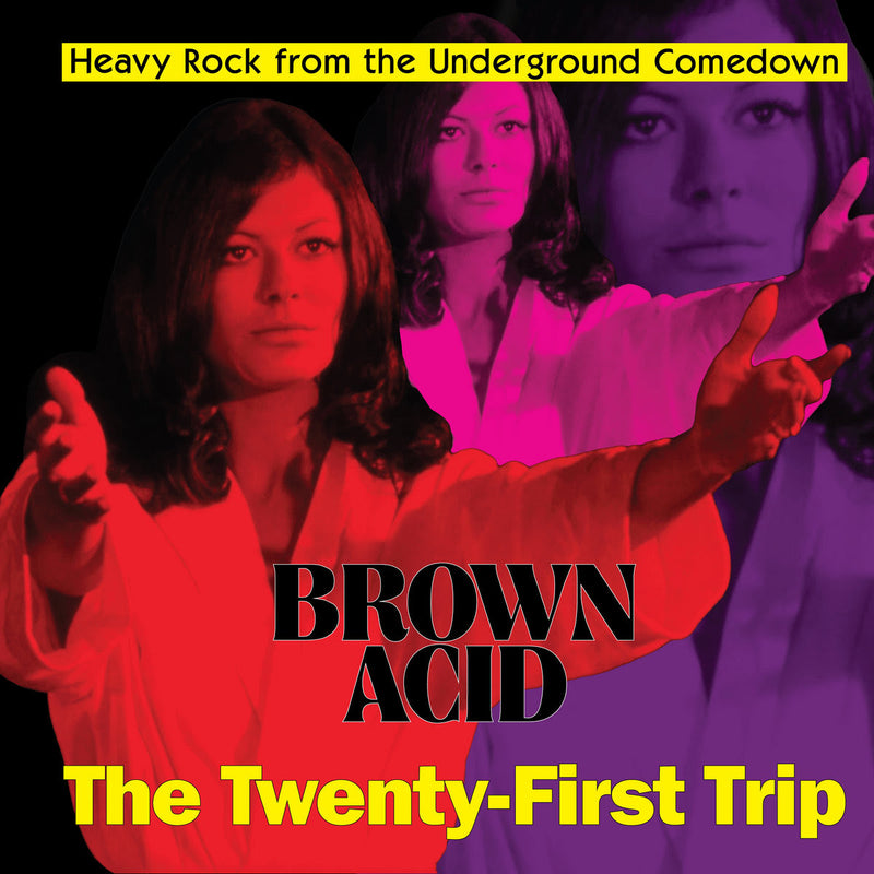 Various Artists - Brown Acid: The Twenty-First Trip *Pre-Order