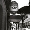 Bevis Frond (The) - Live at the Great American Music Hall