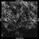 Mary Onettes (The) - SWORN