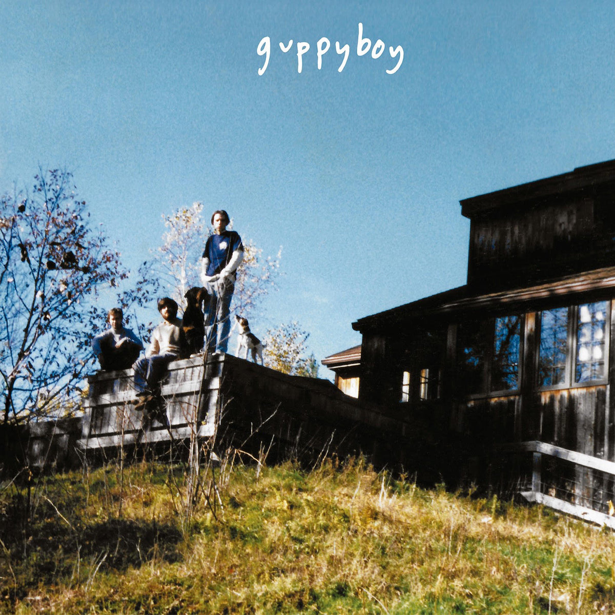 GUPPYBOY - JEFFERSONVILLE *Pre-Order