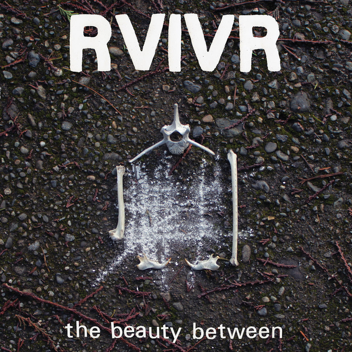 RVIVR - The Beauty Between *Pre-Order