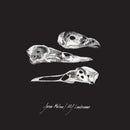 Jason Molina / MJ Lenderman - The Last Three Human Words (Demo) / Just Be Simple (Cover)