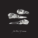 Jason Molina / MJ Lenderman - The Last Three Human Words (Demo) / Just Be Simple (Cover) *Pre-Order