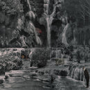 Lambchop - Punching The Clown *Pre-Order