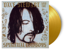 Dave Stewart and The Spiritual Cowboys - Dave Stewart and The Spiritual Cowboys