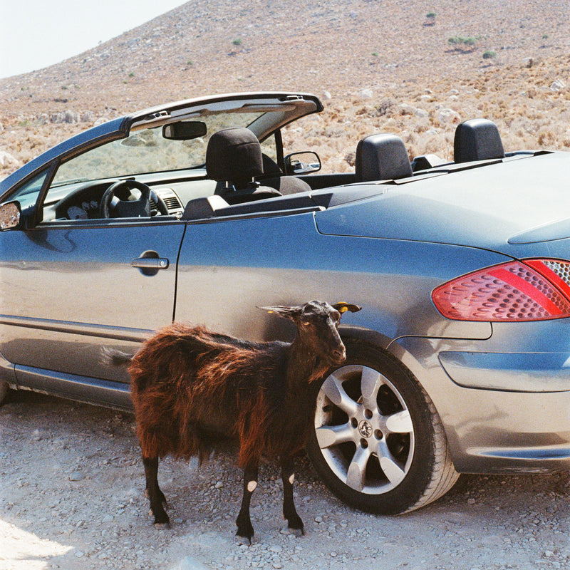 EXEK - Prove The Mountains Move *Pre-Order