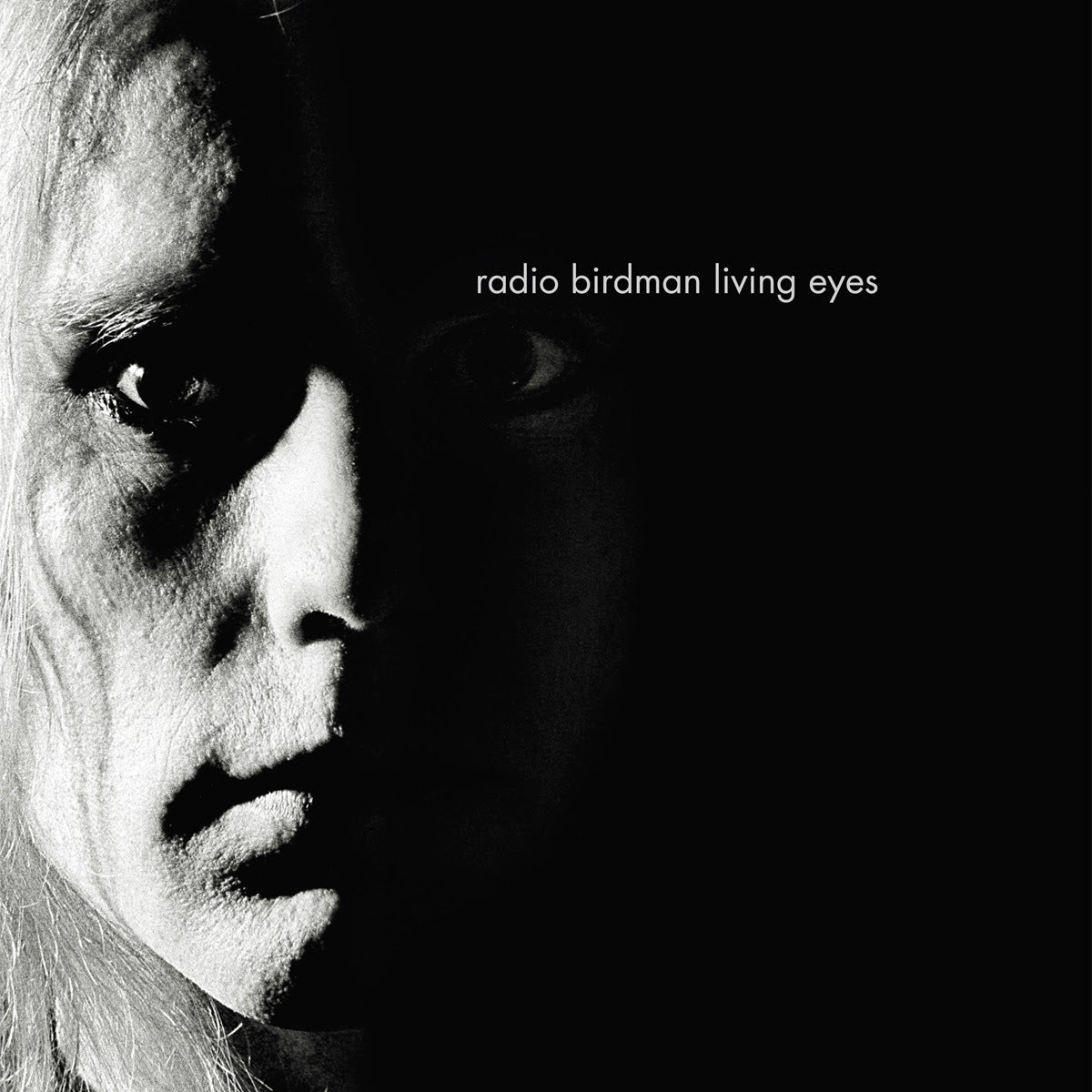 Radio Birdman - Living Eyes (Remix Version)