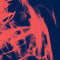 Rival Consoles - Landscape From Memory *Pre-Order