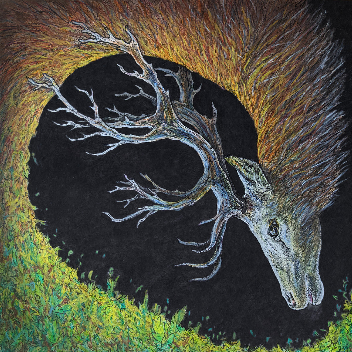 Petrels - Infangthief *Pre-Order