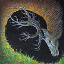 Petrels - Infangthief *Pre-Order