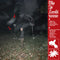 This Is Lorelei - Box for Buddy, Box for Star *Pre-Order
