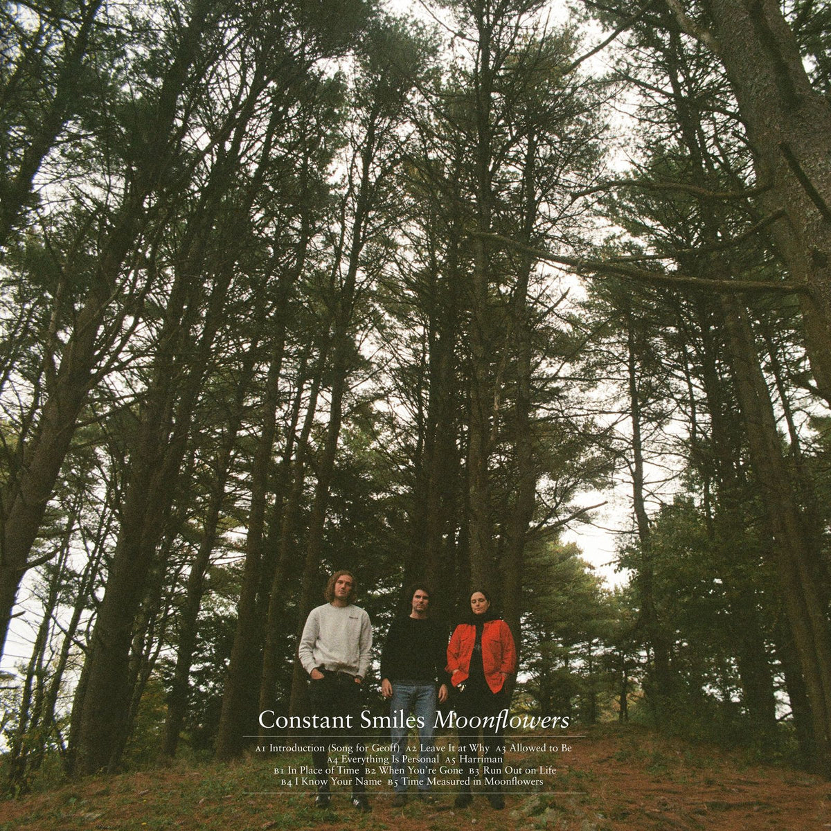 Constant Smiles - Moonflowers